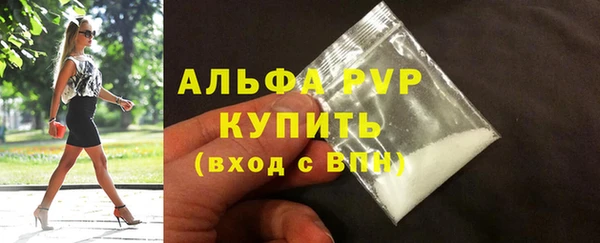 прущие грибы Наволоки