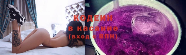 прущие грибы Надым