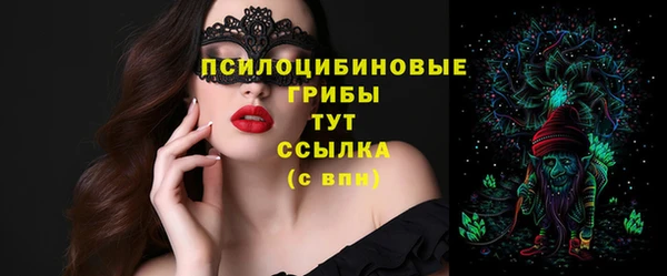 сатива Навашино