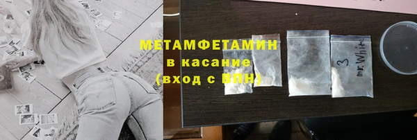 прущие грибы Надым