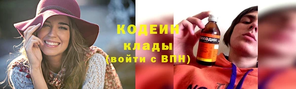 хмурый Михайловск