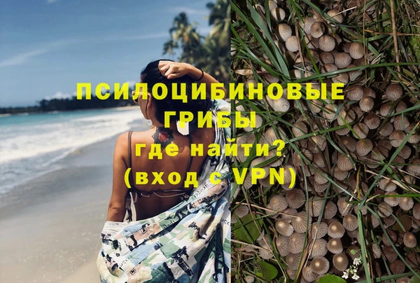 сатива Навашино