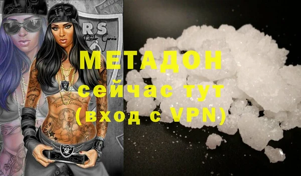 прущие грибы Наволоки