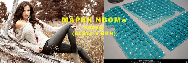 прущие грибы Наволоки
