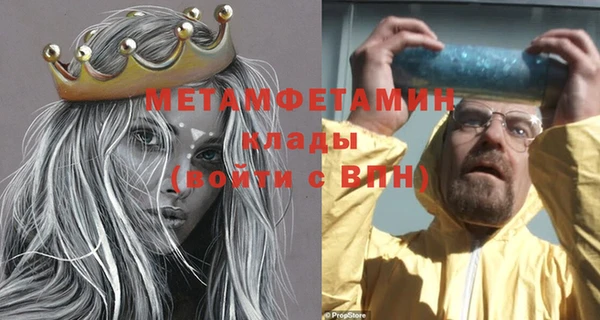 прущие грибы Наволоки