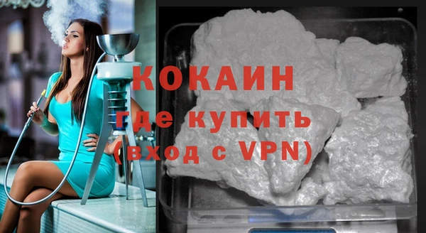 прущие грибы Надым