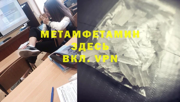 прущие грибы Надым