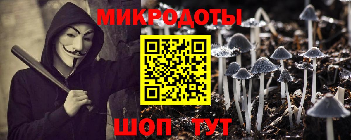 Псилоцибиновые грибы MAGIC MUSHROOMS  Псилоцибиновые грибы Psilocybe  Петрозаводск  Вход с VPN 